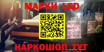 мдпв Новозыбков