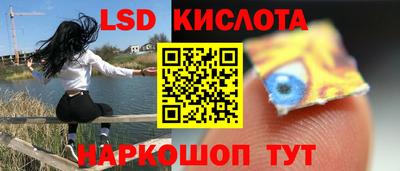 прущие грибы Новодвинск