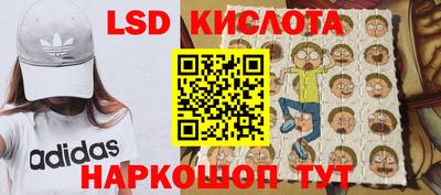 мдпв Новозыбков
