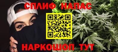 стафф Новокубанск