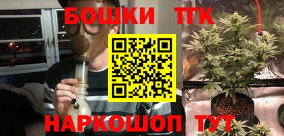 прущие грибы Новодвинск