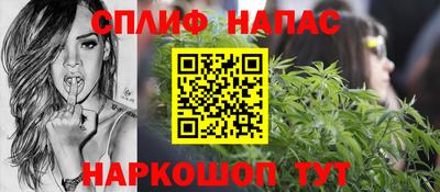 мдпв Новозыбков